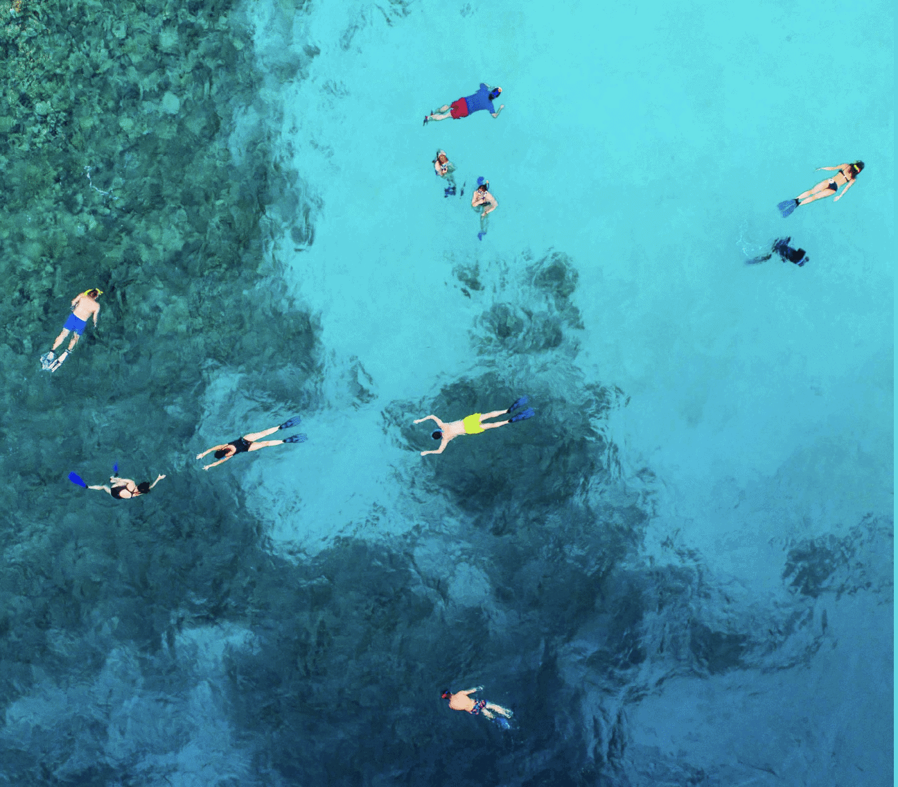 The best beach clubs on Cozumel have excellent snorkeling.