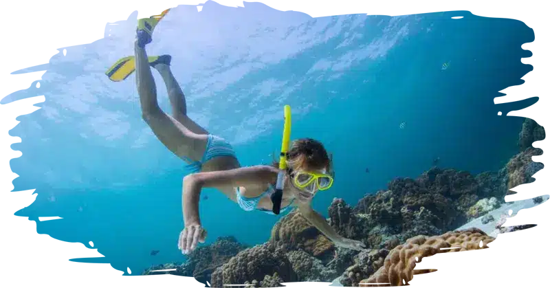 woman diving under the water whil snorkeling. she is wearing a blue two piece bathing suit and looking at the coral reef in cozumel