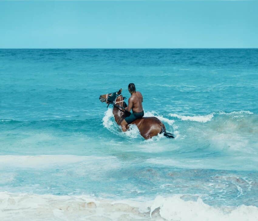 Jet Ski Cozumel provides reservations for horseback riding.