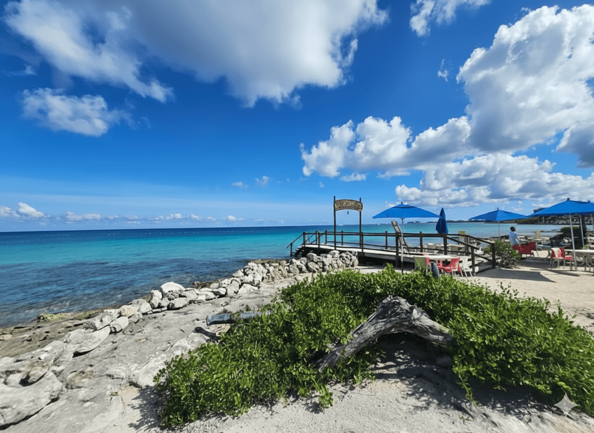 Beach-clubs-in-Cozumel-near-cruise-port-sky-reef – Jet Ski Cozumel Picture from shore of sky reef showing beach area, reef, ocean and pier for water access