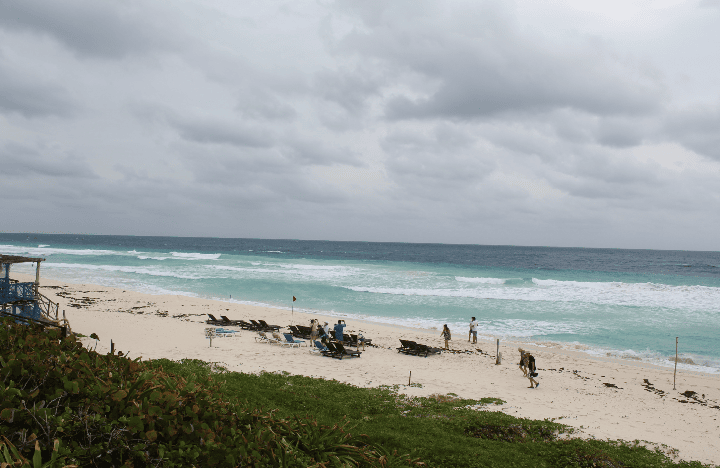 Image of cozumel free beach