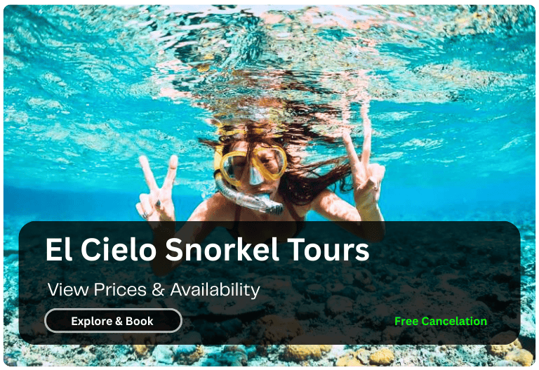 cozumel snorkel Tour-CTA – Jet Ski Cozumel A girl in the water snorkeling with goggles showing a peace sign