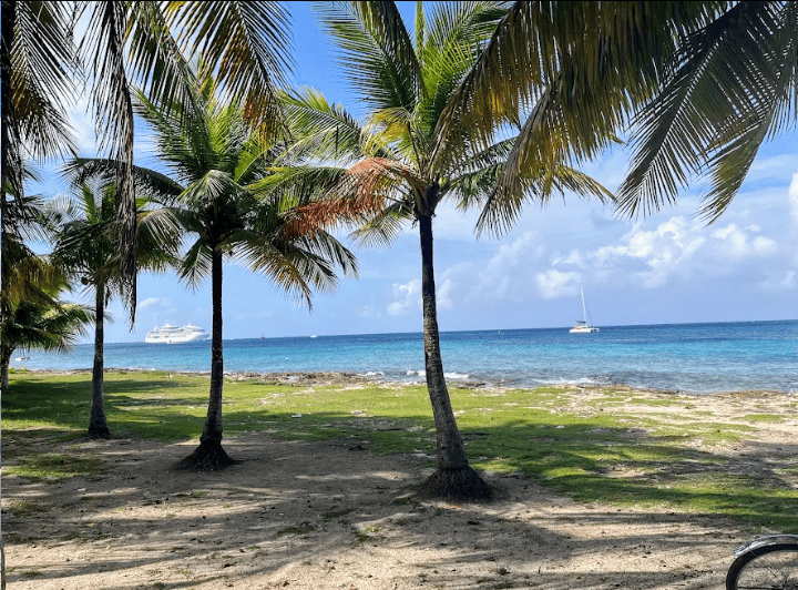 Cozumles free beach playa Casitas