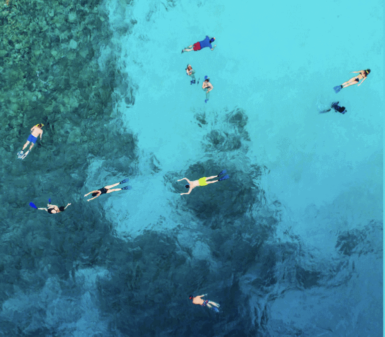 People snorkeling for free near cozumel shore