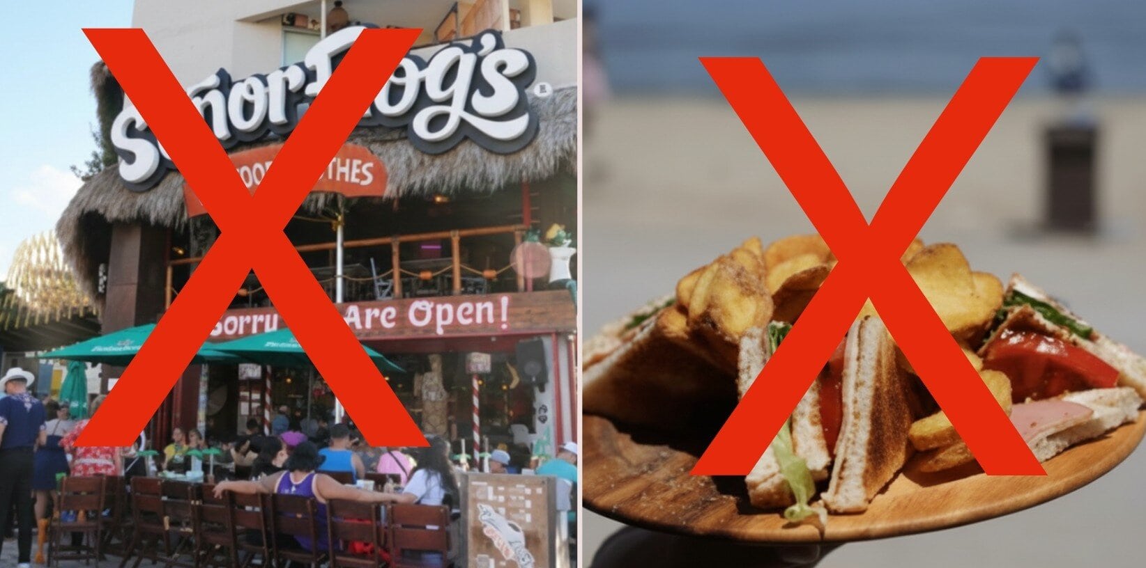 Image of two plate of food. With a red x over them to avoid