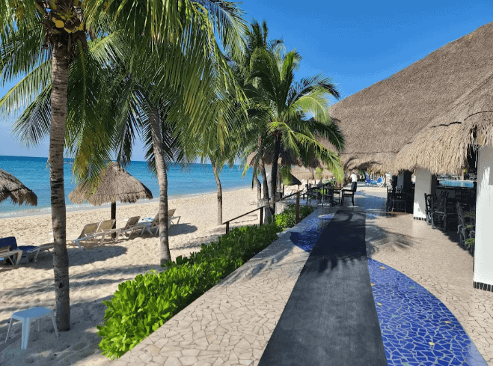 private-beach-clubs-in-cozumel – Jet Ski Cozumel Private beach clubs in Cozumel showing beach with ocean to the left and 6 palm trees