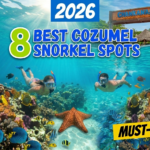 Best places to snorkel in cozumel