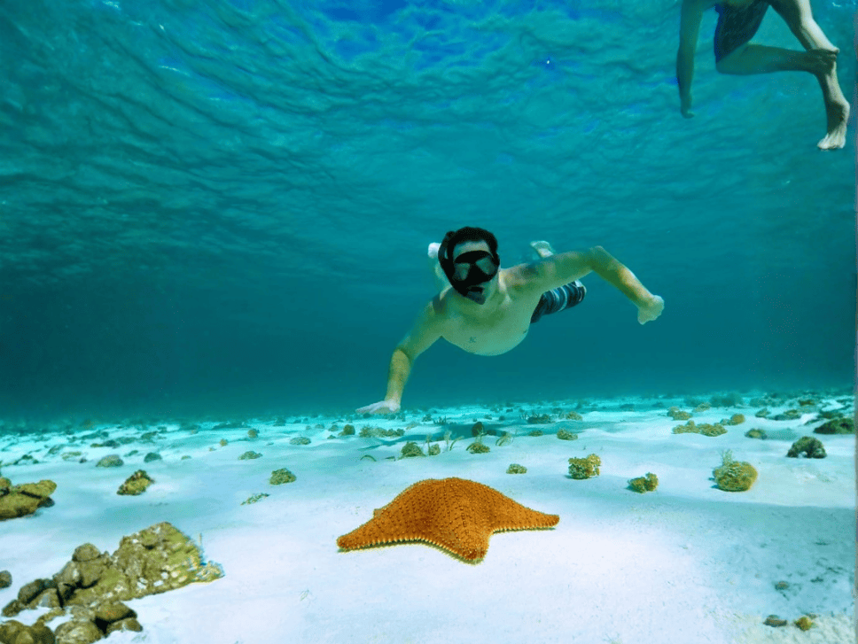 27_20260514_160045_0001 – Jet Ski Cozumel Snorkeler swimming underwater near an orange starfish on a sandy seabed.