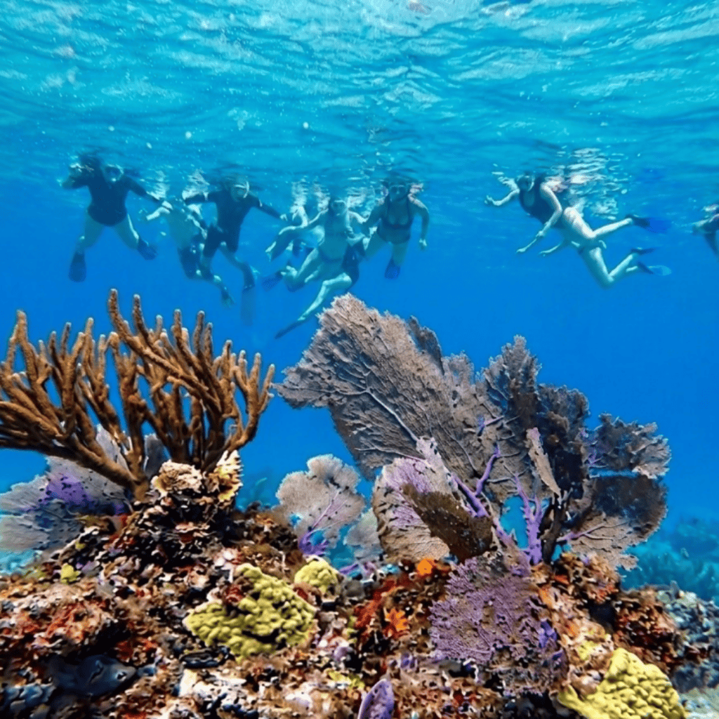 People swimming near at Cozumel Columbia reef