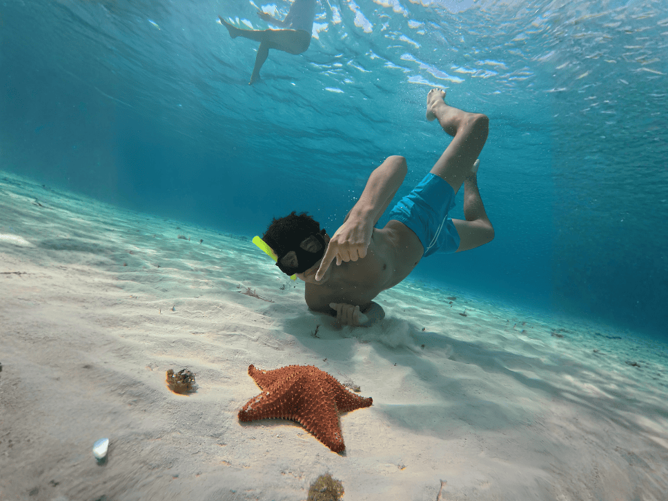8_20260513_164141_0007 – Jet Ski Cozumel Underwater scene of a snorkeler in blue swim trunks near the sandy seabed, giving a peace sign with a red starfish in the foreground.