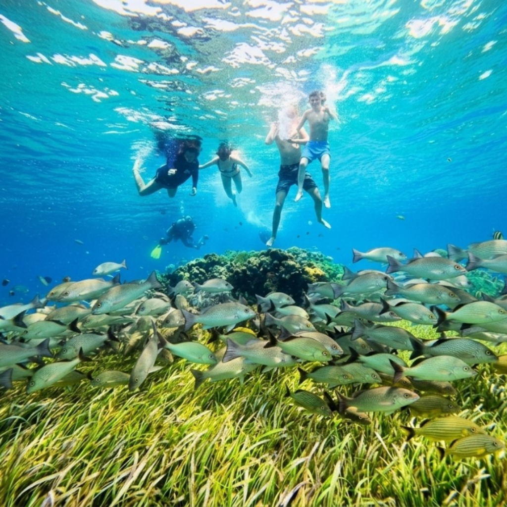 Snorkelers swimming above a colorful coral reef, surrounded by a large school of fish in clear blue water.