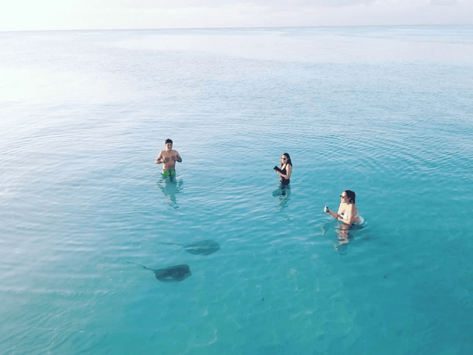 El-cielito-cozumel-snorkeling-stingray – Jet Ski Cozumel Three people shown standing in waist deep clear water at El cielito beach in Cozumel from a drone with two stingrays 4 feet away from them
