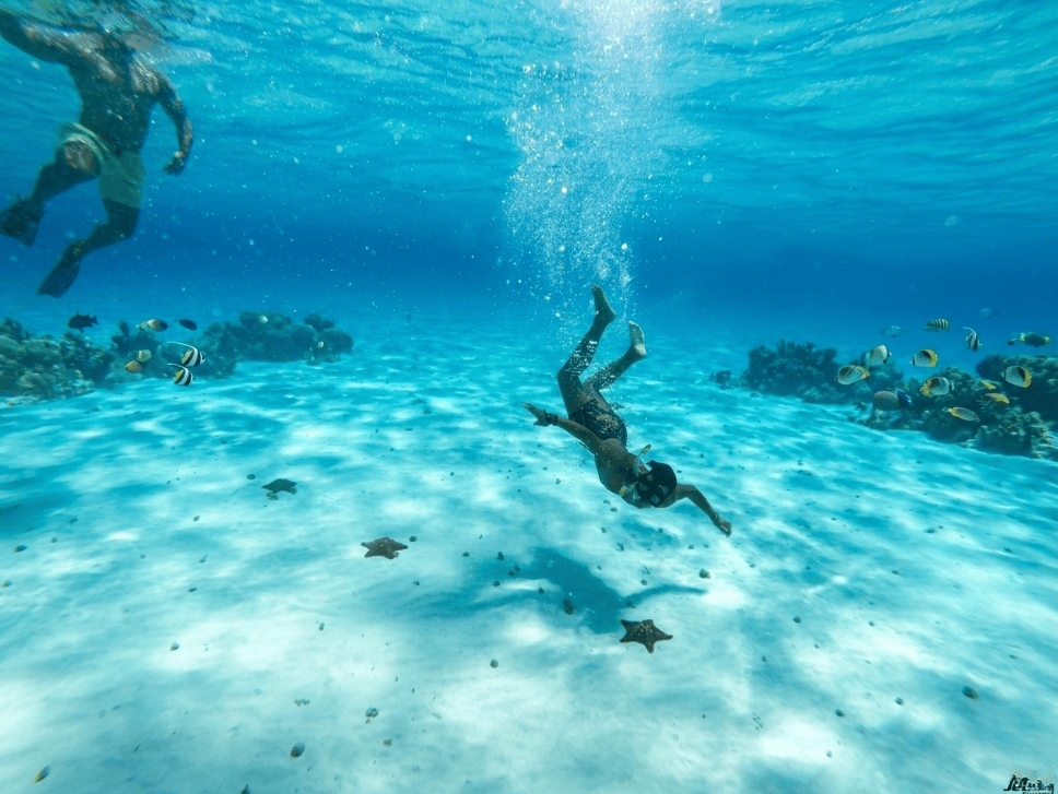 A action photo of a El Cielo snorkeling tour in Cozumel Two snorkelers swim above a sandy coral reef, surrounded by colorful tropical fish in clear blue water.