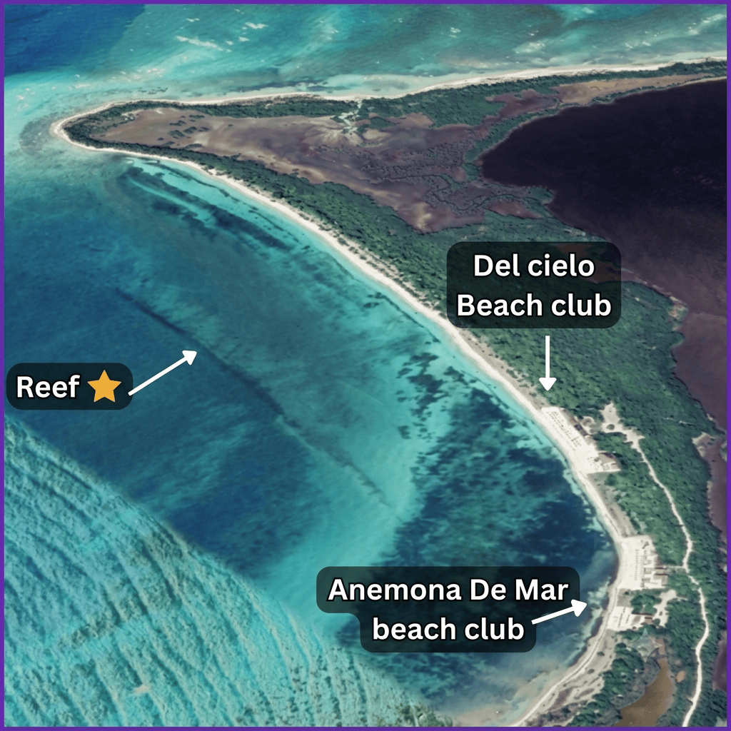 del-cielo-beach-club-punta-sur-snorkeling – Jet Ski Cozumel Aerial view of a curved white-sand beach along a turquoise lagoon with labeled points: Del cielo Beach club and Anemona De Mar beach club, plus a marked reef area to the left.