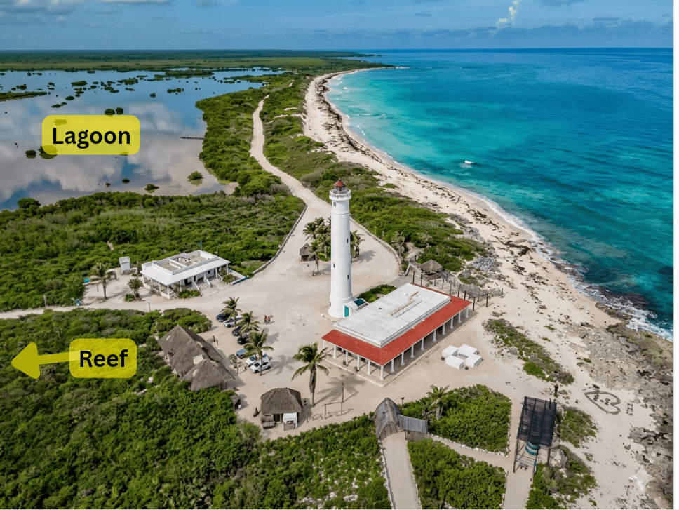 how-to-find-punta-sur-reef – Jet Ski Cozumel Aerial view of a lighthouse on a sandy coast with turquoise water to the right and a lagoon with reefs to the left.